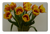 Hull, East Yorkshire Business